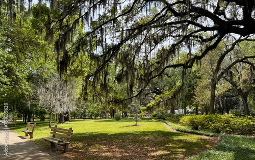 Photography a shady tranquil square in the Historic District of Savannah Georgia
