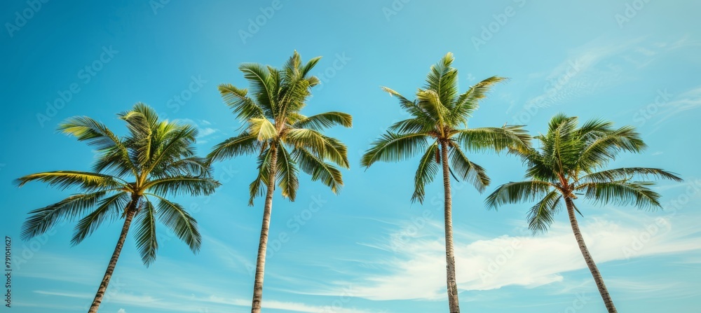 Timeless allure  palm groves standing out against the serene and boundless blue horizon