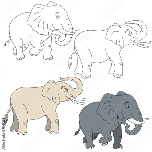 Photography Elephant Clipart