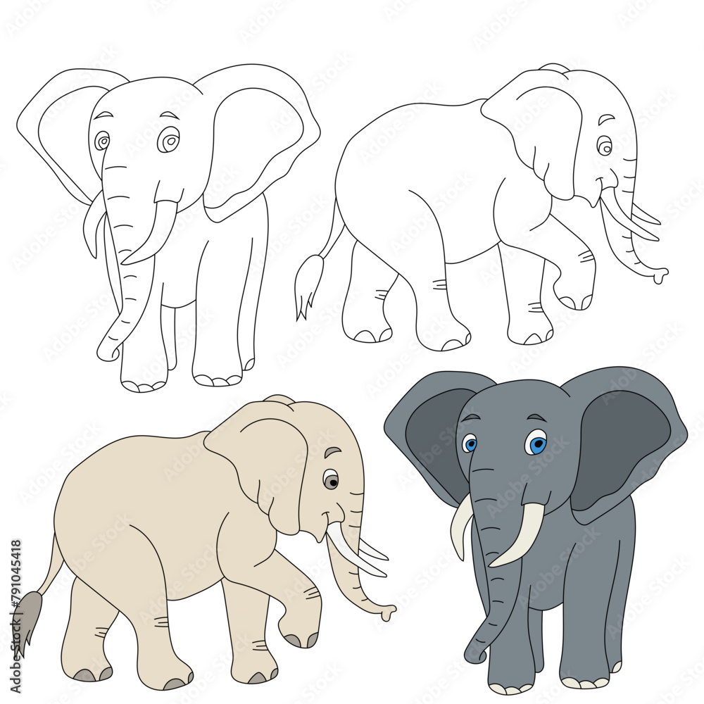 Elephant Clipart. Wild Animals clipart collection for lovers of jungles and wildlife. This set will be a perfect addition to your safari and zoo-themed projects.