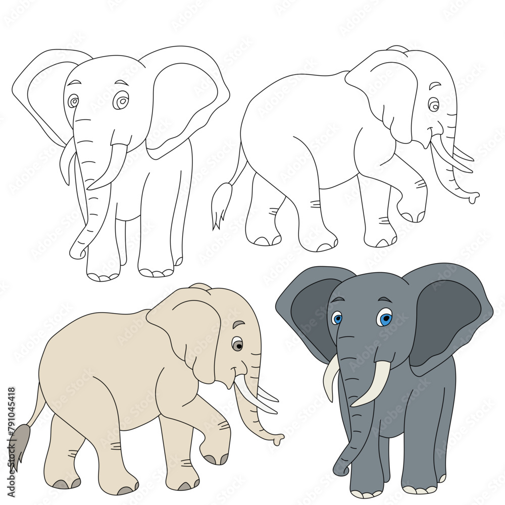 Fototapeta premium Elephant Clipart. Wild Animals clipart collection for lovers of jungles and wildlife. This set will be a perfect addition to your safari and zoo-themed projects.