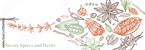 Hand drawn savory spices and herbs. Set. Vanilla, cinnamon, garlic, ginger, anise, basil, rosemary, turmeric, thyme, pepper, peppercorns, cocoa, coffee, badian, cloves, chili. Mulled wine. Template.