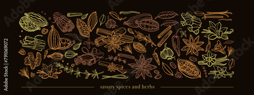 Hand drawn savory spices and herbs. Set. Vanilla, cinnamon, garlic, ginger, anise, basil, rosemary, turmeric, thyme, pepper, peppercorns, cocoa, coffee, badian, cloves, chili. Mulled wine. Template.