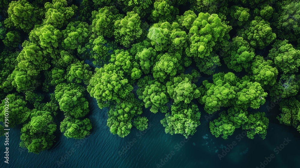Verdant Mangrove Forest from Above Generative AI