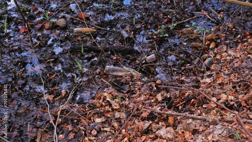 Forest Swamp Bog Morass Polluted with Glass and Plastic Bottles Garbage Trash Forest Swamp Bog Morass Polluted with Glass and Plastic Bottles Garbage Trash