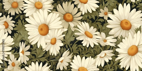 Daisy chamomile flowers plant herbal pattern texture natural background scene