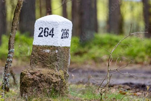 A stone post with a white top and a number standing in the forest.