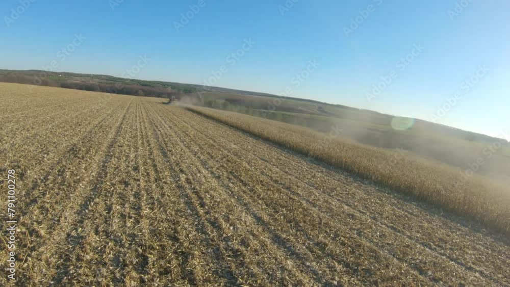 Top view of combines gathering corn or wheat crop. Flying over harvesters rides through field cutting barley or maize stalks. Agricultural machinery working at farm. Harvesting concept. Aerial shot Top view of combines gathering corn or wheat crop. Flying over harvesters rides through field cutting barley or maize stalks. Agricultural machinery working at farm. Harvesting concept. Aerial shot