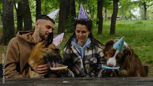 Dogs celebrates birthday with family. Young happy couple with their two Australian and German Shepherds in spring green park. Pets birthday party with meat cakes, paper hats on heads.