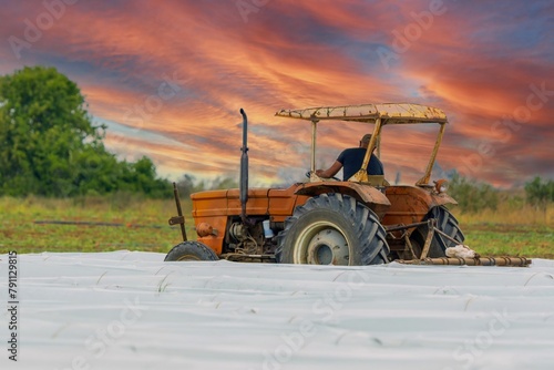 Farmer ploughing a strawberry field with a tractor. Strawberry greenhouse