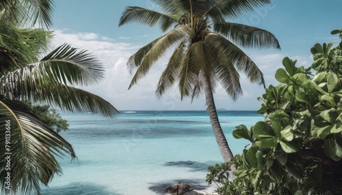 Tropical Palm Tree Paradise- Inspiring Wanderlust and Adventure