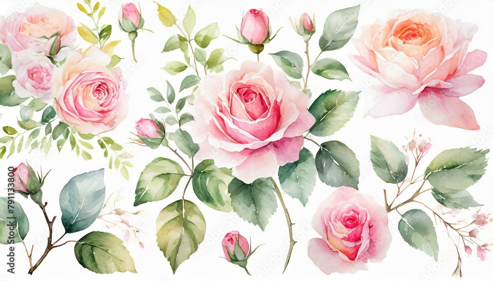 watercolor arrangements with garden roses collection pink flowers leaves branches botanic il