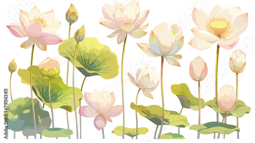 Collection of beautiful detailed botanical drawings