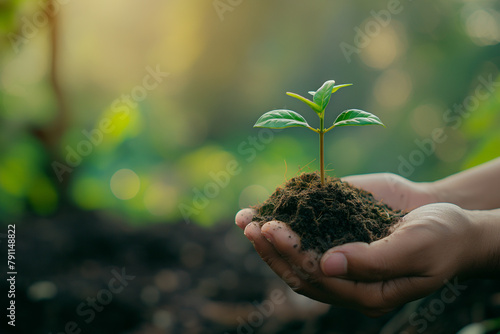 small plant held in hands, nature, generative AI