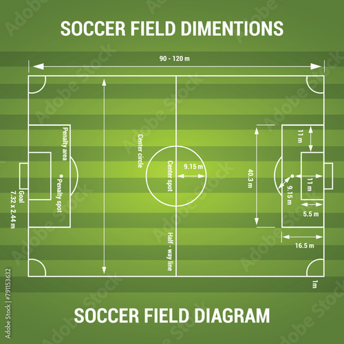 soccer field illustration