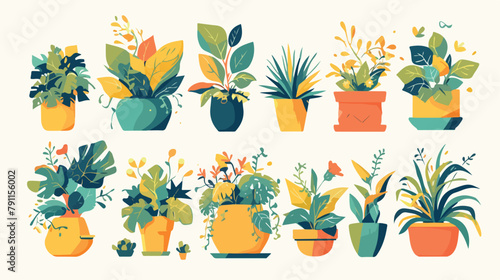 Collection of decorative houseplants isolated on wh