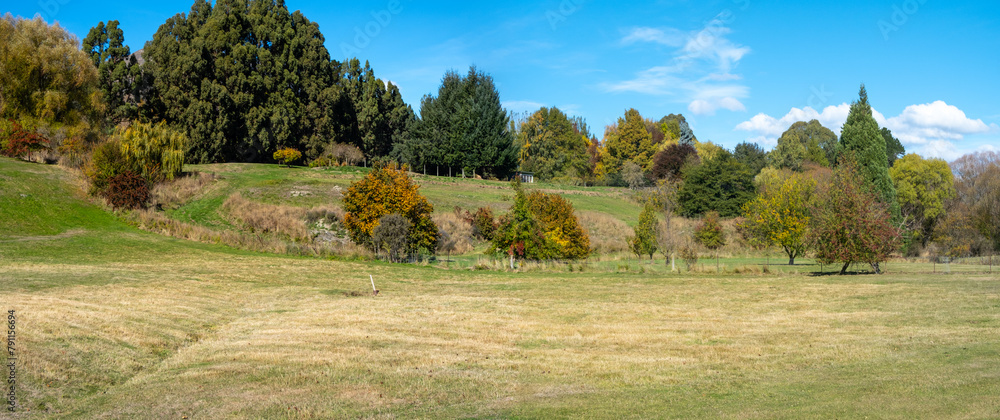 Fototapeta premium Background texture of panoramic idyllic farmland or campground scene with lush grass lawn, varied trees, and vacant land. Rural nature landscape in New Zealand. Copy space for your design.