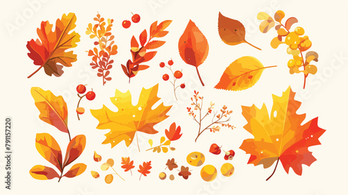 Collection of different colorful autumn tree leaves