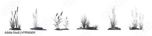 Cattail, reeds, cane, sedge, bluegrass and other marsh and steppe grass - a set of silhouette vector drawings of plants near stones isolated on a white background. © steadb