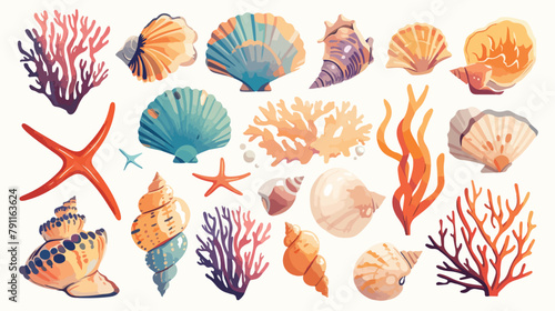 Collection of gorgeous hand drawn seashells corals