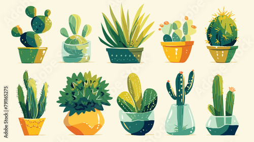 Collection of hand drawn succulents cactuses and ot