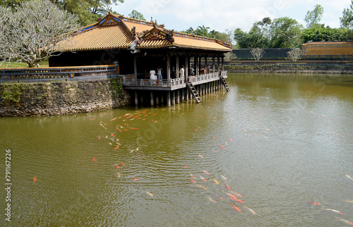 Goldfish (Koi carp) in the lake by an imperial tomb, Hue, Vietnam