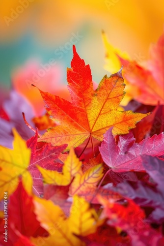 Close-up macro of autumn wallpaper         Capturing the intricate beauty of fall leaves in vibrant detail.  AutumnVibes