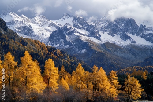 Majestic Mountain Range With Foreground Trees