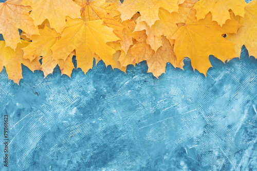 Autumn leaves frame on up side blue structured background top view Fall Border yellow and Orange Leaves vintage background table Copy space. Mock up for your design. Display for product or text