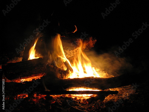 Bonfire fire forest night 
