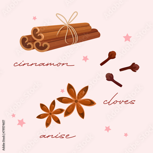 Set of spices with anise stars, cinnamon and cloves for cooking dishes with lettering.
