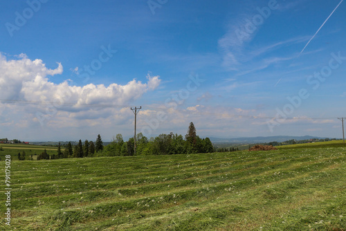 Obraz na plátně View of a meadow with mown green grass.