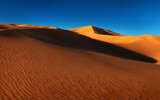Dünen in der Wüste, Licht von der Seite, lange Schatten, tiefblauer Himmel, Nachmittag. 