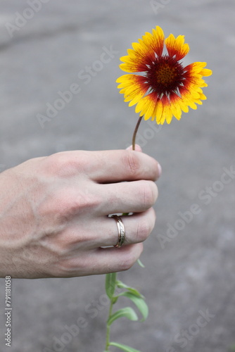 person holding flower