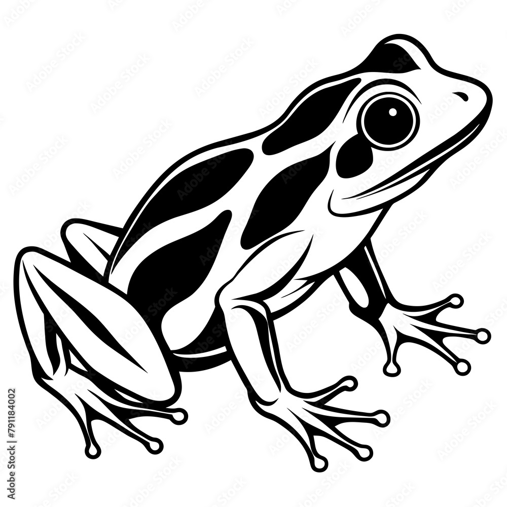 frog on white background frog on white background