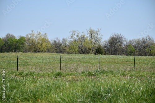 Farm Field