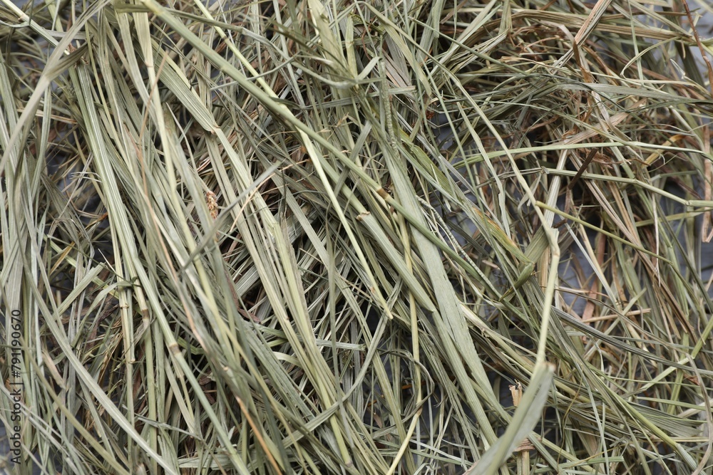 Heap of dried hay as background, top view