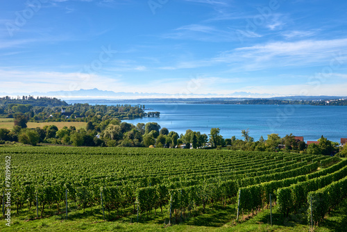 Bodensee Panorama: Alps on the Horizon, Vineyards, and Pastoral Beauty. Alpine Horizon: Bodensee, Vineyards, and Quaint Villages in the German Countryside. Vineyard Vistas: Bodensee, Alpine Peaks, and