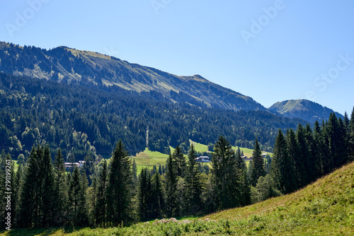 Alpine Meadows, Pine Forests, and the Azure Sky. Summer Meadows and Evergreen Forests Beneath Blue Skies. Mountain: Grazing Pastures and Pine-Laden Slopes in Summer. Nature Alpine Ecosystem Harmony