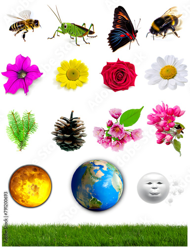 Nature icon set, natural symbols.  Collection set of elements, objects white isolated.