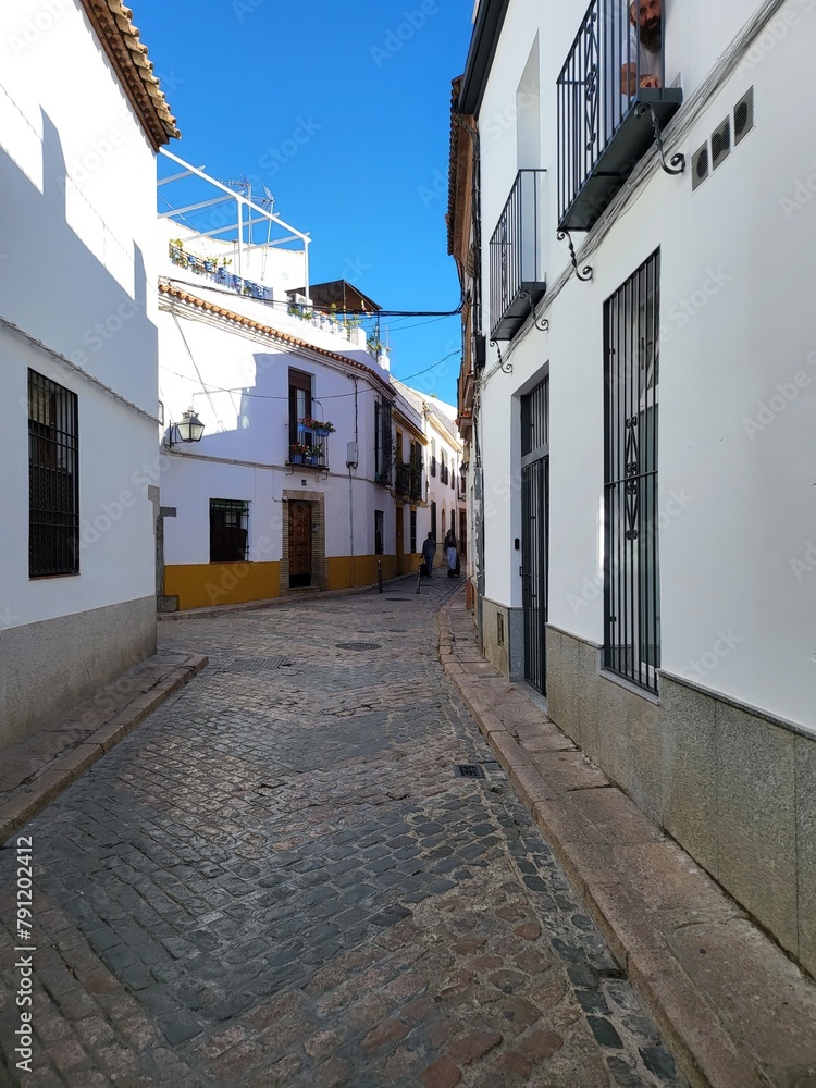 Fototapeta premium narrow street in the old town, Cordoba, Spain