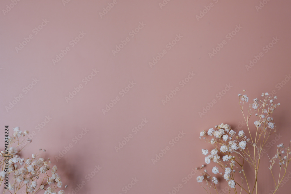 The spring background with copyspace. Minimal pink and flower decoration for flatlay background. The spring background with copyspace. Minimal pink and flower decoration for flatlay background.