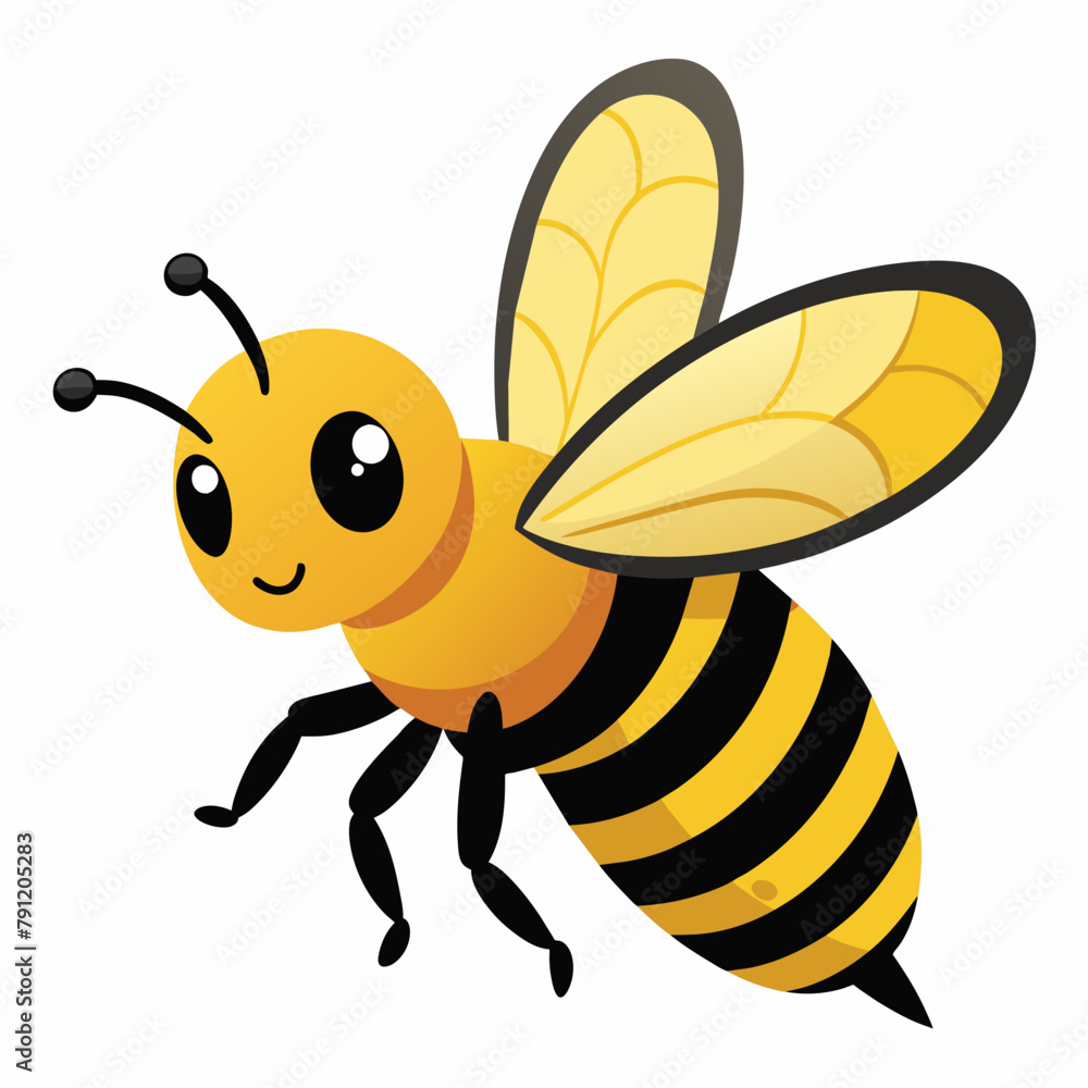 bee and honey Vector illustration bee and honey Vector illustration