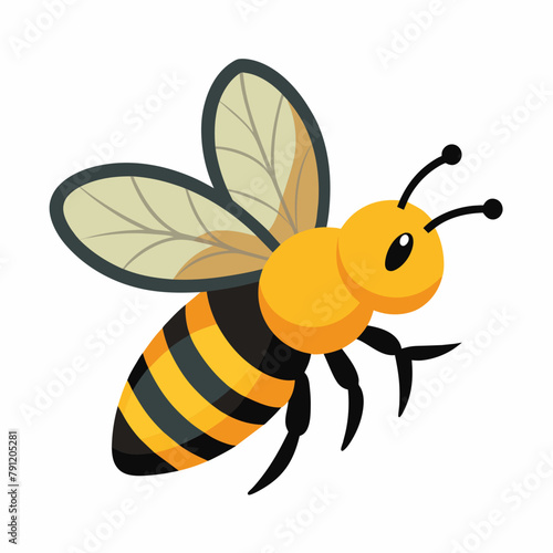 bee and honey Vector illustration