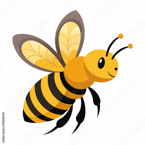 bee and honey Vector illustration