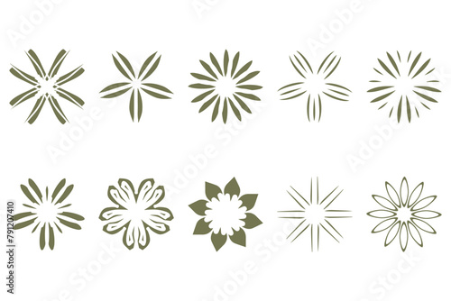 Botanical flower design set. Decorative floral vector