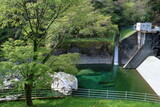 瀬戸川取水堰の景観　新緑の季節　（高知県　土佐町）