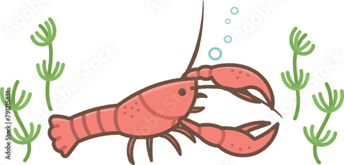 ザリガニと水草のイラスト