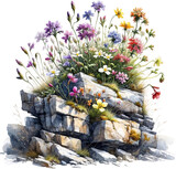 Blooming Flowers Amongst Stones Watercolor Illustration