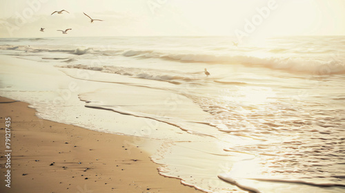 Tranquil Beach at Dawn: Gentle Waves, Soaring Seagulls